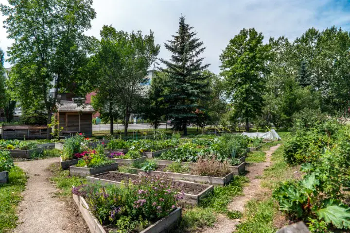 Hillhurst community in Calgary
